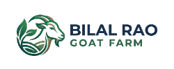 Bilal Rao Goat Farm