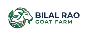 Bilal Rao Goat Farm
